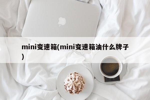 mini变速箱(mini变速箱油什么牌子)