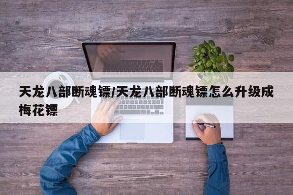 天龙八部断魂镖/天龙八部断魂镖怎么升级成梅花镖