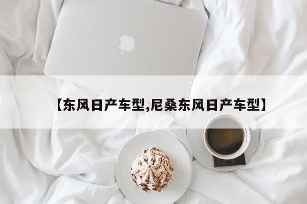 【东风日产车型,尼桑东风日产车型】