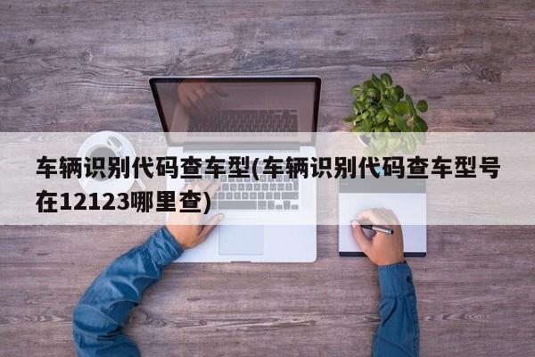 车辆识别代码查车型(车辆识别代码查车型号在12123哪里查)