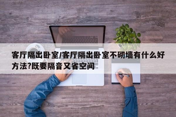 客厅隔出卧室/客厅隔出卧室不砌墙有什么好方法?既要隔音又省空间