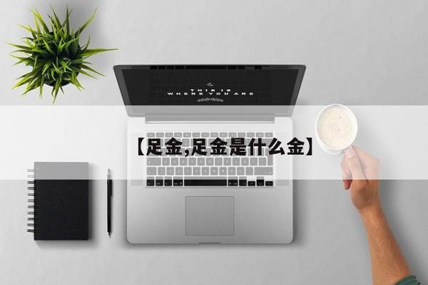 【足金,足金是什么金】