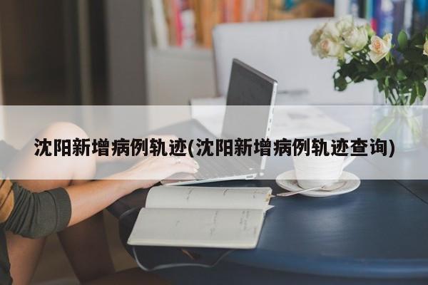 沈阳新增病例轨迹(沈阳新增病例轨迹查询)