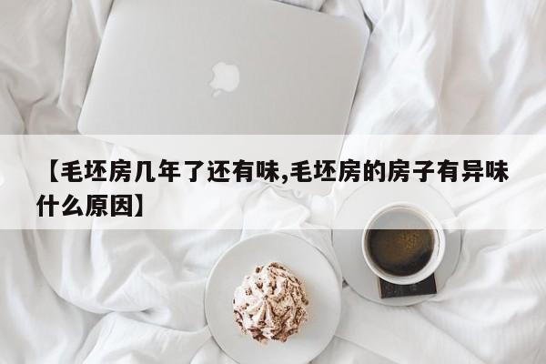 【毛坯房几年了还有味,毛坯房的房子有异味什么原因】