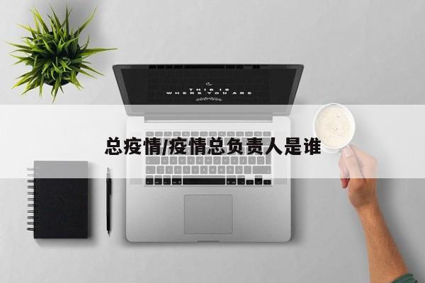 总疫情/疫情总负责人是谁