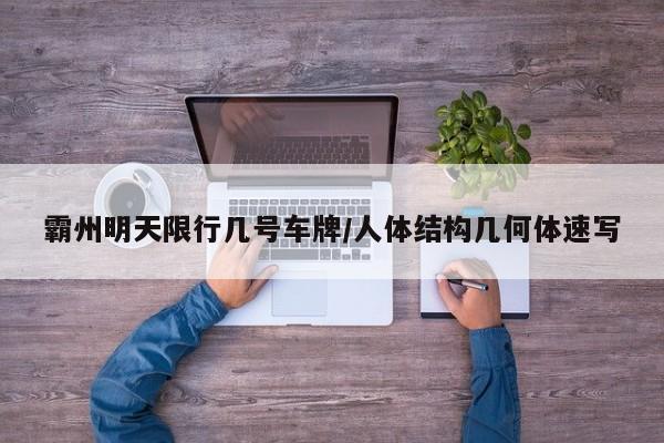霸州明天限行几号车牌/人体结构几何体速写