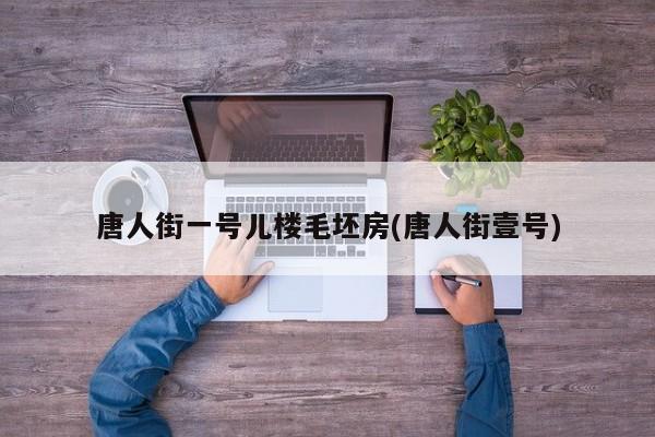 唐人街一号儿楼毛坯房(唐人街壹号)