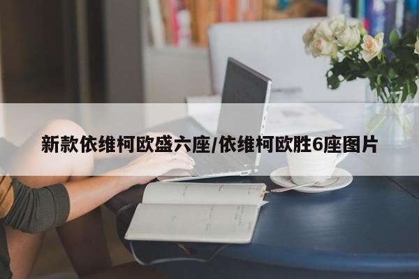 新款依维柯欧盛六座/依维柯欧胜6座图片