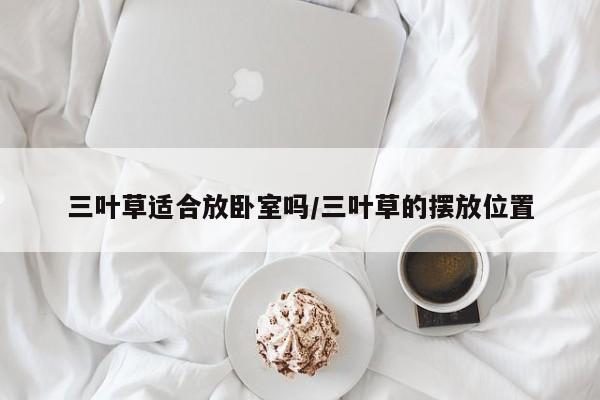 三叶草适合放卧室吗/三叶草的摆放位置