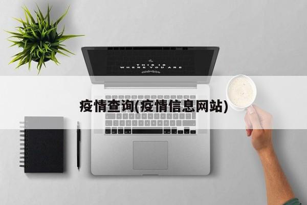 疫情查询(疫情信息网站)