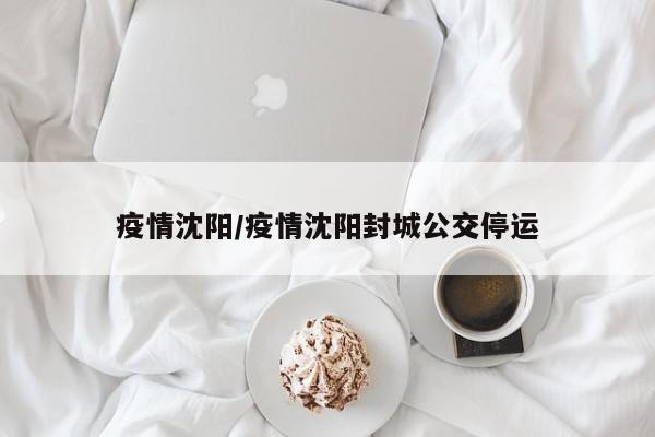 疫情沈阳/疫情沈阳封城公交停运