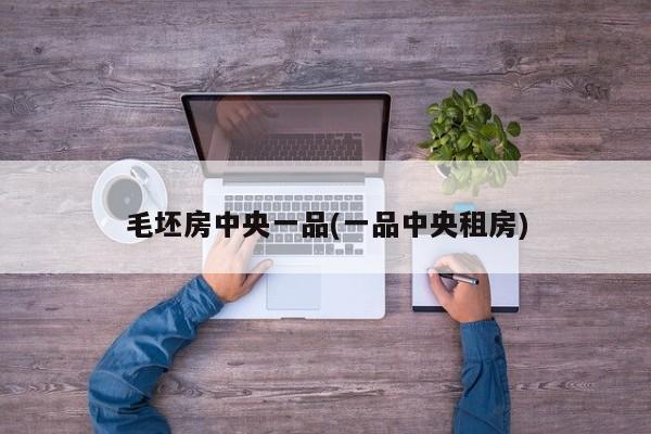 毛坯房中央一品(一品中央租房)