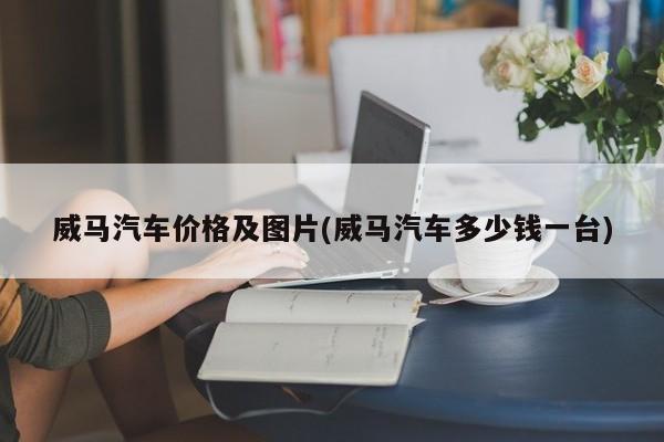 威马汽车价格及图片(威马汽车多少钱一台)